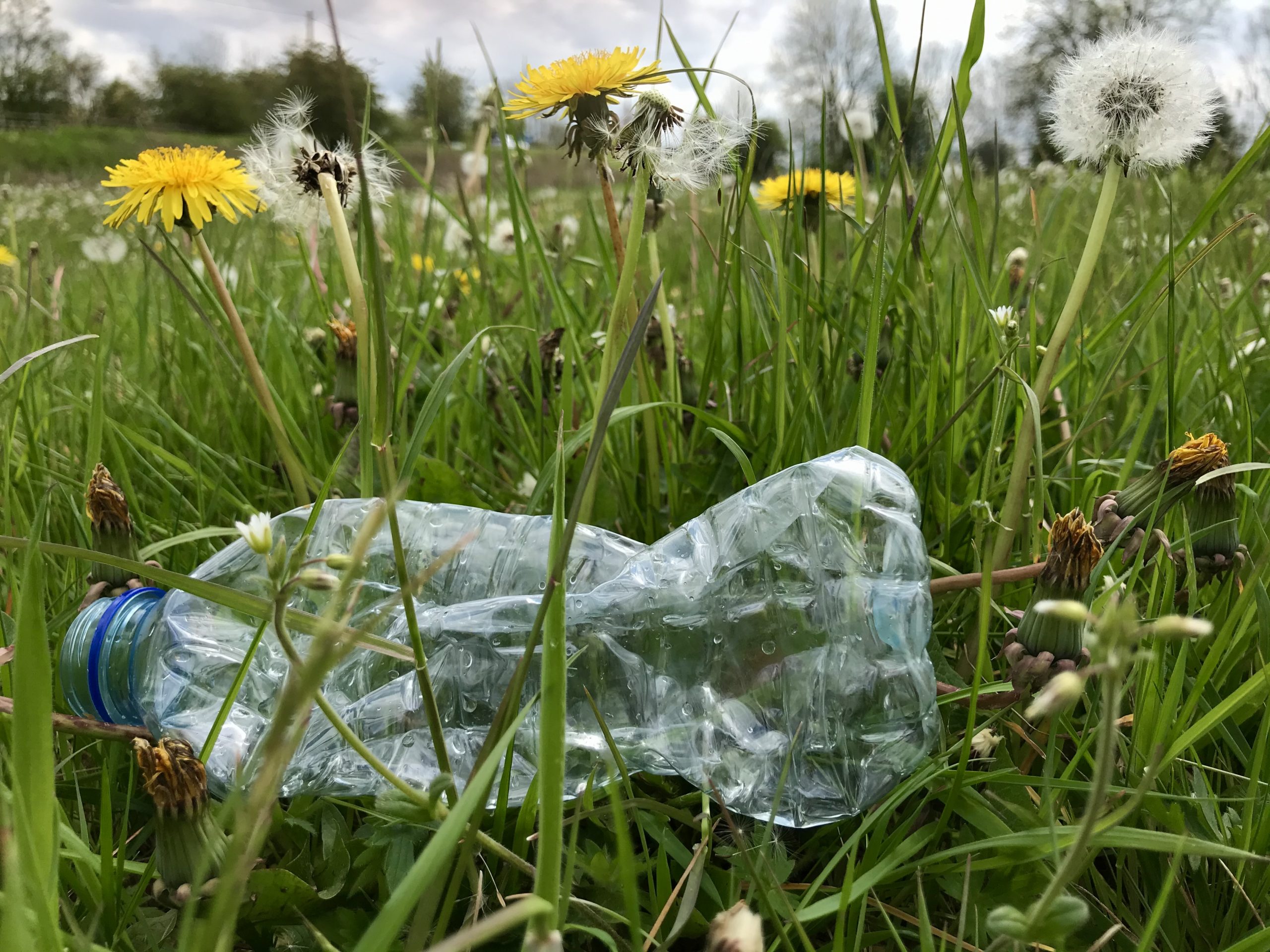 A discarded bottle in a Peak District field
