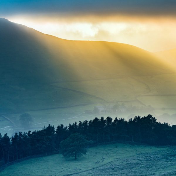 Shafts of sunlight through the clouds over a forest